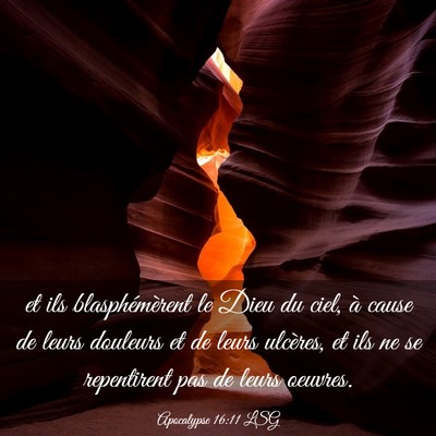 Picture 03 - Apocalypse 16:11 LSG - et ils blasphémèrent le Dieu du ciel, à cause - Bible Verse Picture