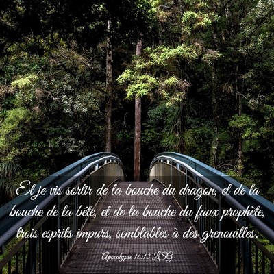 Picture 03 - Apocalypse 16:13 LSG - Et je vis sortir de la bouche du dragon, et de la - Bible Verse Picture
