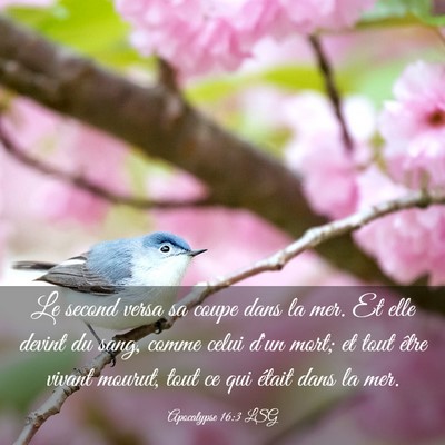 Picture 03 - Apocalypse 16:3 LSG - Le second versa sa coupe dans la mer. Et elle - Bible Verse Picture