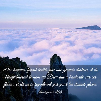 Picture 03 - Apocalypse 16:9 LSG - et les hommes furent brûlés par une grande - Bible Verse Picture