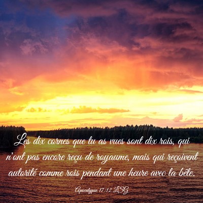 Picture 03 - Apocalypse 17:12 LSG - Les dix cornes que tu as vues sont dix rois, qui - Bible Verse Picture