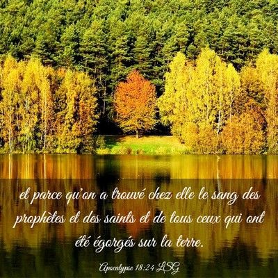 Picture 03 - Apocalypse 18:24 LSG - et parce qu'on a trouvé chez elle le sang des - Bible Verse Picture
