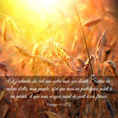 Picture 03 - Apocalypse 18:4 LSG - Et j'entendis du ciel une autre voix qui disait: - Bible Verse Picture