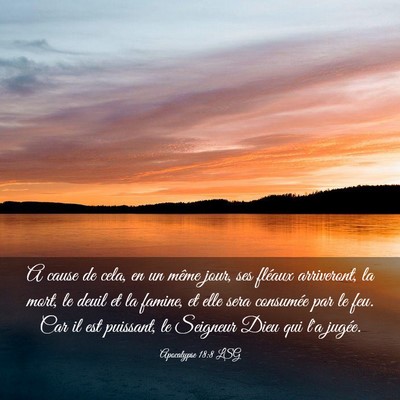 Picture 03 - Apocalypse 18:8 LSG - A cause de cela, en un même jour, ses fléaux - Bible Verse Picture