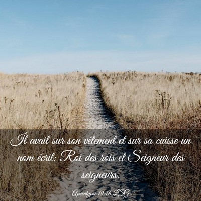 Picture 03 - Apocalypse 19:16 LSG - Il avait sur son vêtement et sur sa cuisse un - Bible Verse Picture