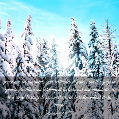 Picture 03 - Apocalypse 19:2 LSG - parce que ses jugements sont véritables et - Bible Verse Picture