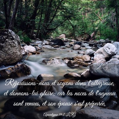 Picture 03 - Apocalypse 19:7 LSG - Réjouissons-nous et soyons dans l'allégresse, - Bible Verse Picture