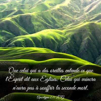 Picture 03 - Apocalypse 2:11 LSG - Que celui qui a des oreilles entende ce que - Bible Verse Picture