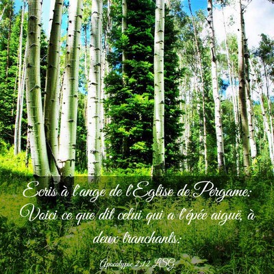 Picture 03 - Apocalypse 2:12 LSG - Ecris à l'ange de l'Eglise de Pergame: Voici ce - Bible Verse Picture