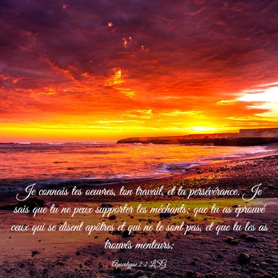 Picture 03 - Apocalypse 2:2 LSG - Je connais tes oeuvres, ton travail, et ta - Bible Verse Picture