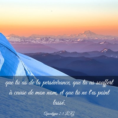 Picture 03 - Apocalypse 2:3 LSG - que tu as de la persévérance, que tu as - Bible Verse Picture