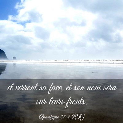 Picture 03 - Apocalypse 22:4 LSG - et verront sa face, et son nom sera sur leurs - Bible Verse Picture