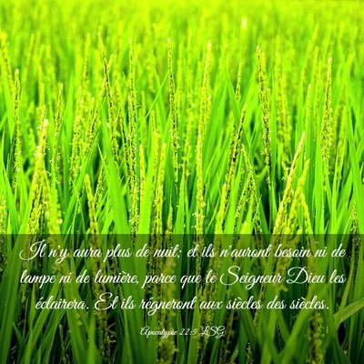 Picture 03 - Apocalypse 22:5 LSG - Il n'y aura plus de nuit; et ils n'auront besoin - Bible Verse Picture
