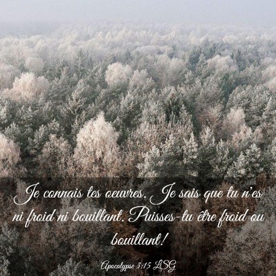 Picture 03 - Apocalypse 3:15 LSG - Je connais tes oeuvres. Je sais que tu n'es ni - Bible Verse Picture