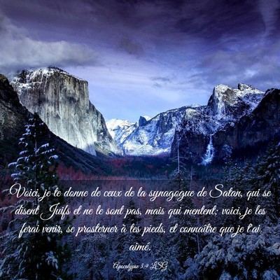 Picture 03 - Apocalypse 3:9 LSG - Voici, je te donne de ceux de la synagogue de - Bible Verse Picture