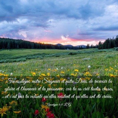 Picture 03 - Apocalypse 4:11 LSG - Tu es digne, notre Seigneur et notre Dieu, de - Bible Verse Picture