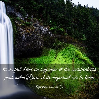 Picture 03 - Apocalypse 5:10 LSG - tu as fait d'eux un royaume et des sacrificateurs - Bible Verse Picture
