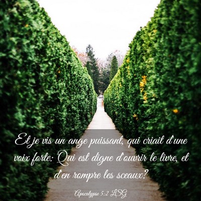 Picture 03 - Apocalypse 5:2 LSG - Et je vis un ange puissant, qui criait d'une voix - Bible Verse Picture