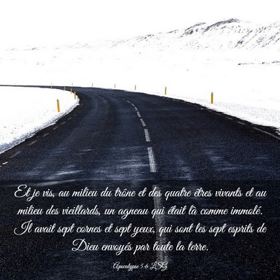 Picture 03 - Apocalypse 5:6 LSG - Et je vis, au milieu du trône et des quatre - Bible Verse Picture