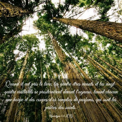 Picture 03 - Apocalypse 5:8 LSG - Quand il eut pris le livre, les quatre êtres - Bible Verse Picture
