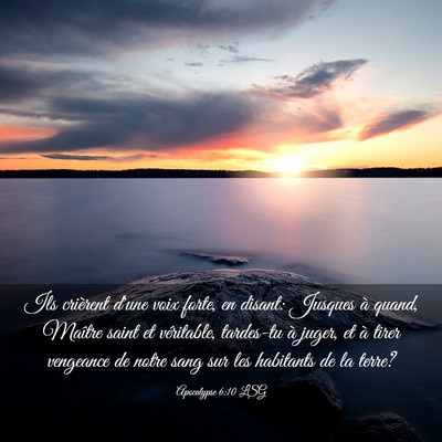 Picture 03 - Apocalypse 6:10 LSG - Ils crièrent d'une voix forte, en disant: - Bible Verse Picture