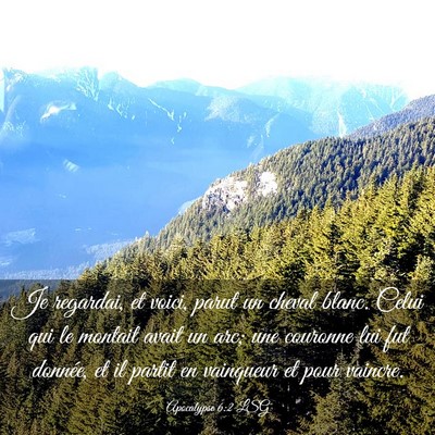Picture 03 - Apocalypse 6:2 LSG - Je regardai, et voici, parut un cheval blanc. - Bible Verse Picture