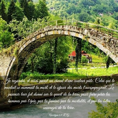 Picture 03 - Apocalypse 6:8 LSG - Je regardai, et voici, parut un cheval d'une - Bible Verse Picture