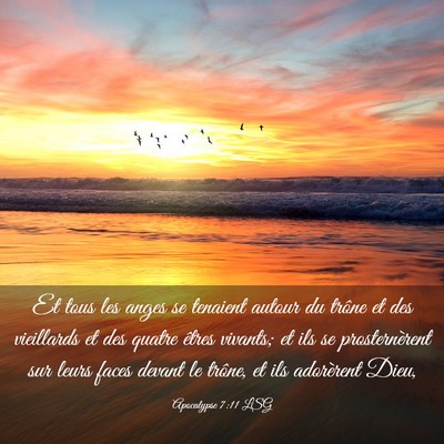 Picture 03 - Apocalypse 7:11 LSG - Et tous les anges se tenaient autour du trône et - Bible Verse Picture