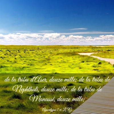 Picture 03 - Apocalypse 7:6 LSG - de la tribu d'Aser, douze mille; de la tribu de - Bible Verse Picture