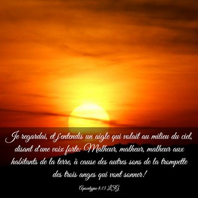 Picture 03 - Apocalypse 8:13 LSG - Je regardai, et j'entendis un aigle qui volait au - Bible Verse Picture