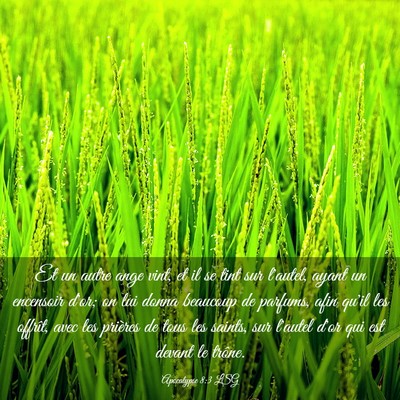 Picture 03 - Apocalypse 8:3 LSG - Et un autre ange vint, et il se tint sur l'autel, - Bible Verse Picture