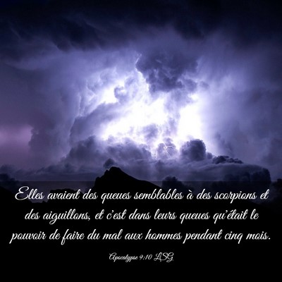 Picture 03 - Apocalypse 9:10 LSG - Elles avaient des queues semblables à des - Bible Verse Picture