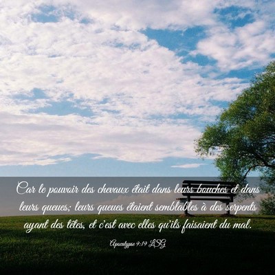Picture 03 - Apocalypse 9:19 LSG - Car le pouvoir des chevaux était dans leurs - Bible Verse Picture