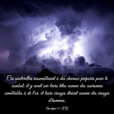 Picture 03 - Apocalypse 9:7 LSG - Ces sauterelles ressemblaient à des chevaux - Bible Verse Picture