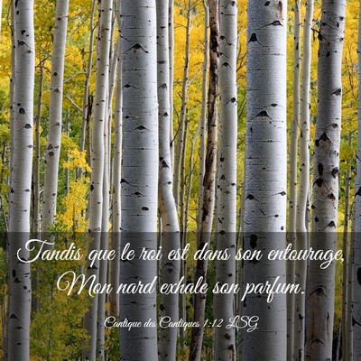 Picture 03 - Cantique des Cantiques 1:12 LSG - Tandis que le roi est dans son entourage, Mon - Bible Verse Picture