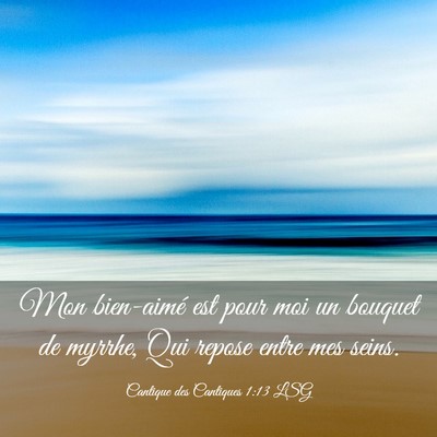 Picture 03 - Cantique des Cantiques 1:13 LSG - Mon bien-aimé est pour moi un bouquet de myrrhe, - Bible Verse Picture