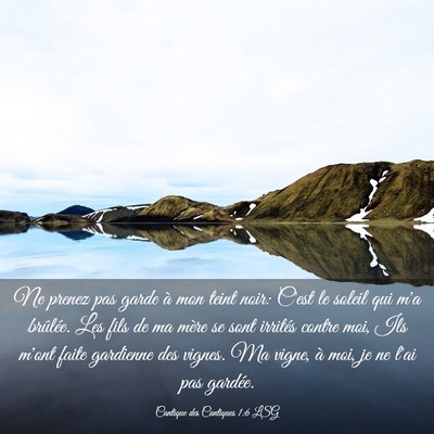 Picture 03 - Cantique des Cantiques 1:6 LSG - Ne prenez pas garde à mon teint noir: C'est le - Bible Verse Picture