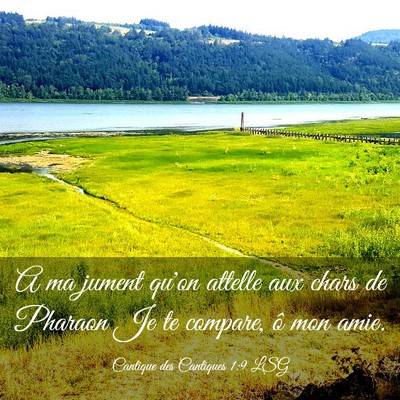 Picture 03 - Cantique des Cantiques 1:9 LSG - A ma jument qu'on attelle aux chars de Pharaon Je - Bible Verse Picture