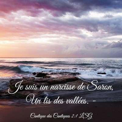 Picture 03 - Cantique des Cantiques 2:1 LSG - Je suis un narcisse de Saron, Un lis des - Bible Verse Picture
