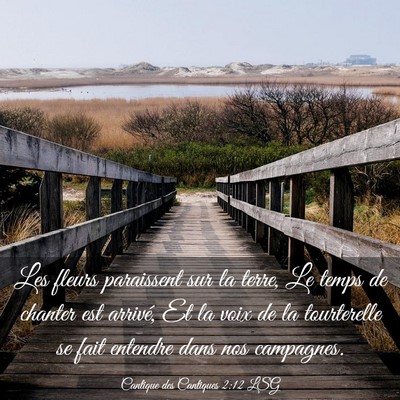 Picture 03 - Cantique des Cantiques 2:12 LSG - Les fleurs paraissent sur la terre, Le temps de - Bible Verse Picture