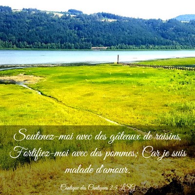 Picture 03 - Cantique des Cantiques 2:5 LSG - Soutenez-moi avec des gâteaux de raisins, - Bible Verse Picture