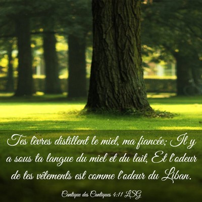 Picture 03 - Cantique des Cantiques 4:11 LSG - Tes lèvres distillent le miel, ma fiancée; Il y - Bible Verse Picture
