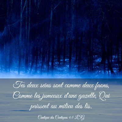 Picture 03 - Cantique des Cantiques 4:5 LSG - Tes deux seins sont comme deux faons, Comme les - Bible Verse Picture