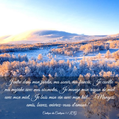 Picture 03 - Cantique des Cantiques 5:1 LSG - J'entre dans mon jardin, ma soeur, ma fiancée; - Bible Verse Picture