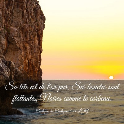 Picture 03 - Cantique des Cantiques 5:11 LSG - Sa tête est de l'or pur; Ses boucles sont - Bible Verse Picture