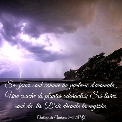 Picture 03 - Cantique des Cantiques 5:13 LSG - Ses joues sont comme un parterre d'aromates, Une - Bible Verse Picture