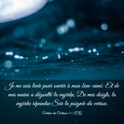 Picture 03 - Cantique des Cantiques 5:5 LSG - Je me suis levée pour ouvrir à mon bien-aimé; - Bible Verse Picture
