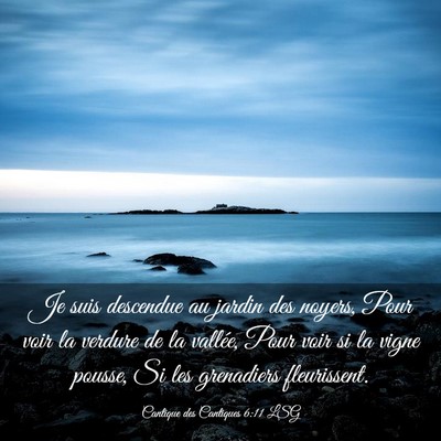 Picture 03 - Cantique des Cantiques 6:11 LSG - Je suis descendue au jardin des noyers, Pour voir - Bible Verse Picture