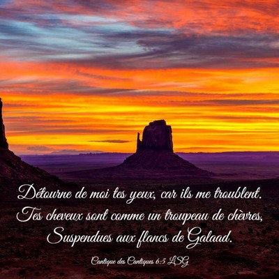 Picture 03 - Cantique des Cantiques 6:5 LSG - Détourne de moi tes yeux, car ils me troublent. - Bible Verse Picture
