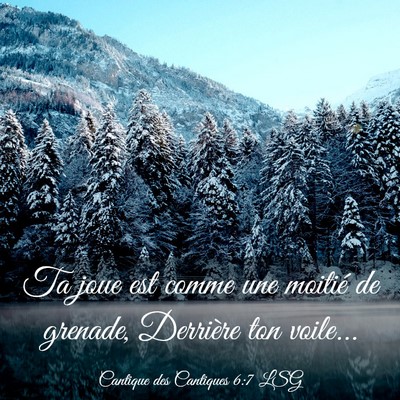 Picture 03 - Cantique des Cantiques 6:7 LSG - Ta joue est comme une moitié de grenade, - Bible Verse Picture